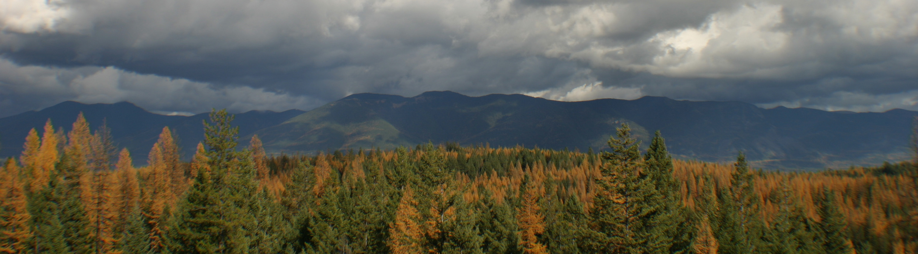 green econometrics header image 4